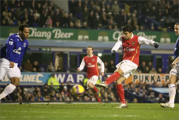 Eduardo's Debut Goal: Arsenal Crushes Everton 4-1 (Barclays Premier League, 2007)