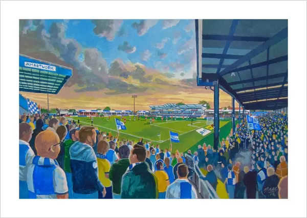 Memorial Ground Stadium Fine Art - Bristol Rovers Football Club
