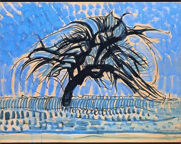 Netherlands, hague, Blue tree, 1909-10