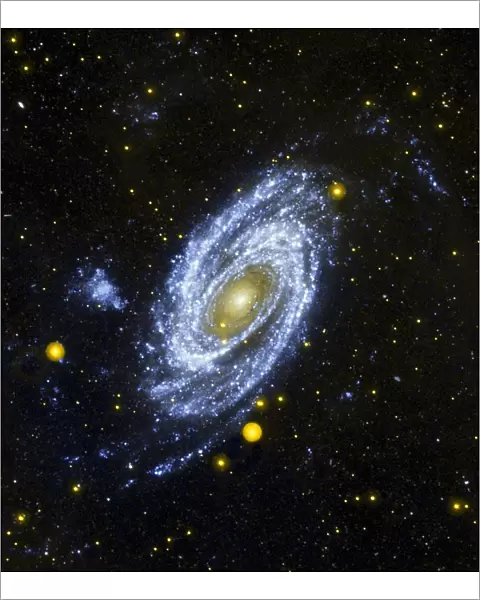 Spiral Galaxy M81 viewed from the Hubble Space Telescope. Credit NASA. Science Astronomy