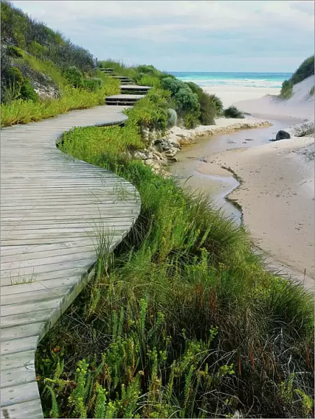 Conspicuous Bay Beach Path