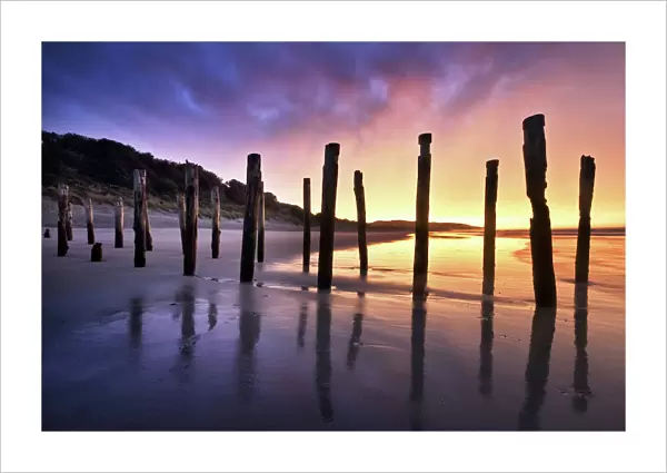 The Old Jetty Remains, St Clair Beach, Dunedin