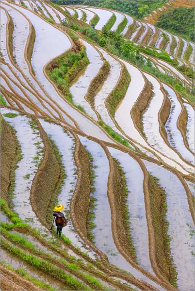 Long ji terrace rice workers, China