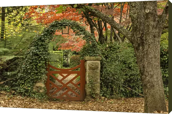 Red gate in autumn colors