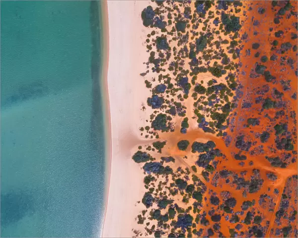 Shark Bay coastline shot from a drone point of view, Australia