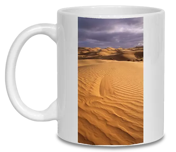 Australia, Great Victoria Desert, sand dune