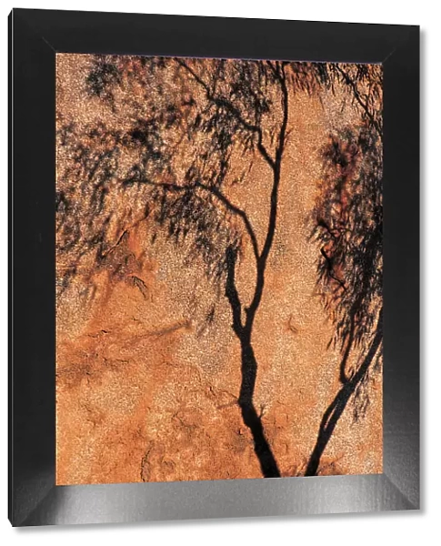Shadow of Eucalyptus Tree, Devils Marbles, Northern Territory, Australia