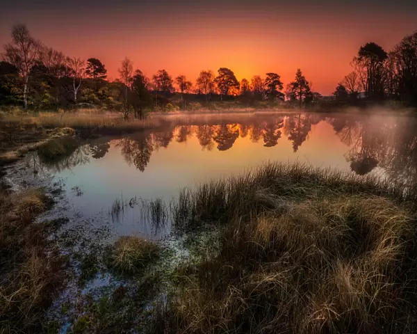 Hartland Moor at first light, Dorset, England, UK