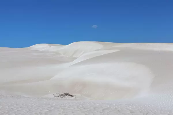 Dune beauty