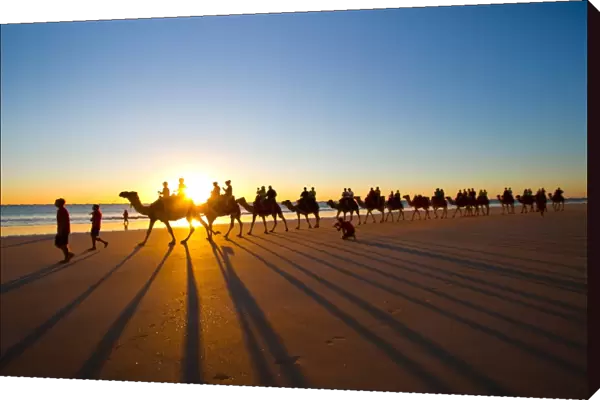 Cable Beach - The famous camel ride