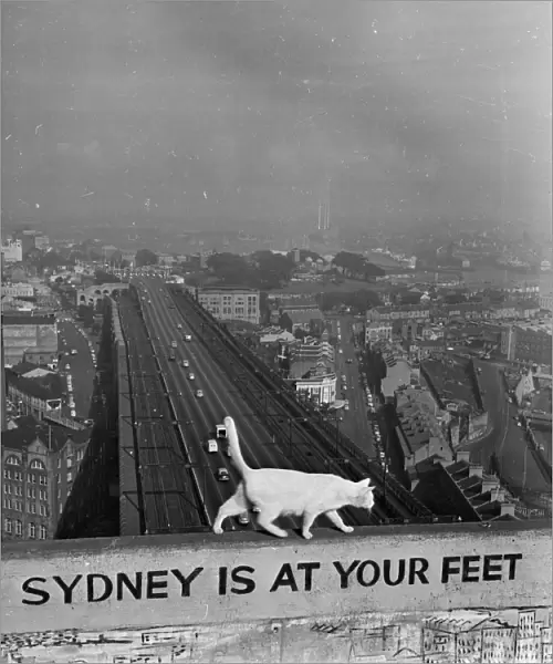 Sydney At Your Feet