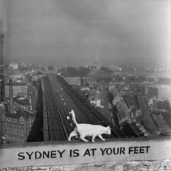 Sydney At Your Feet