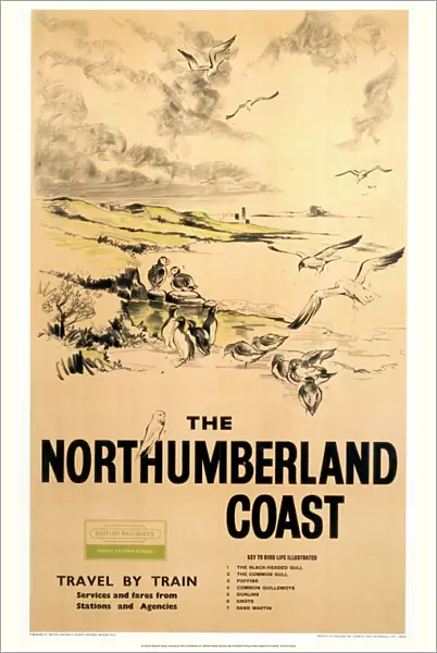 The Northumberland Coast, BR (NER) poster, 1961