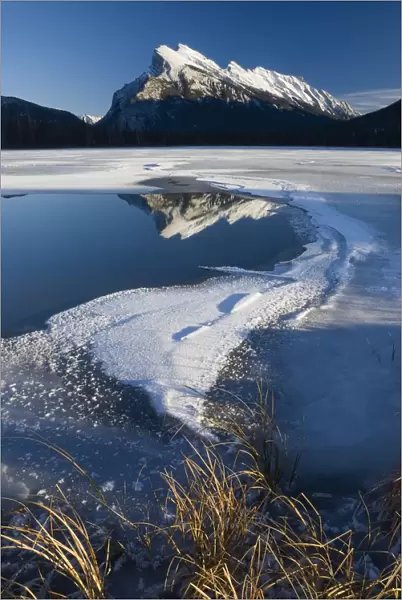 Mt. Rundle, Alberta, Canada