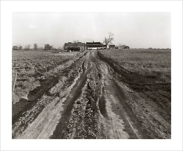 Dirt Road Leading Up To Old Farm House Surrounded