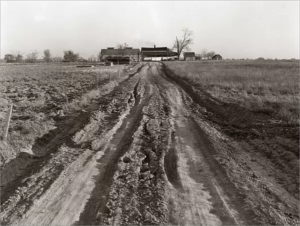Dirt Road Leading Up To Old Farm House Surrounded