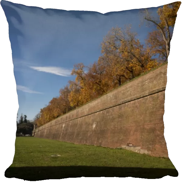 Luccas City wall during a sunny day in Autumn