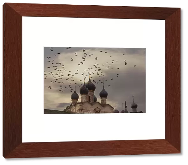 Pigeons flock over Rostov Kremlin, Rostov, Russia