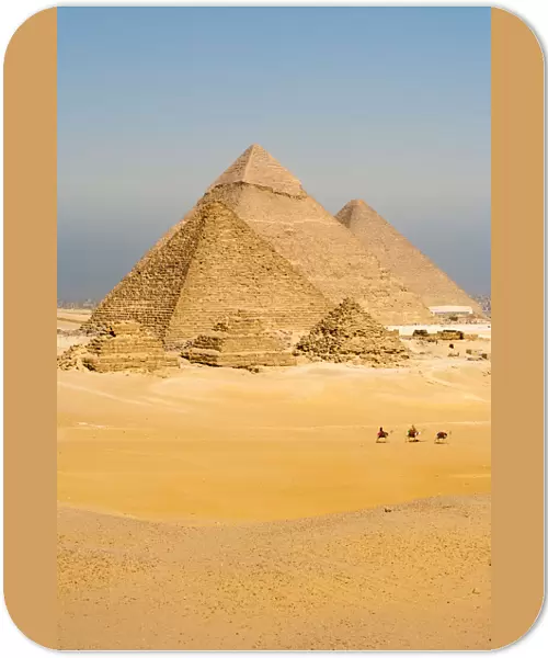 Camels Line Walk Pyramids All Vertical