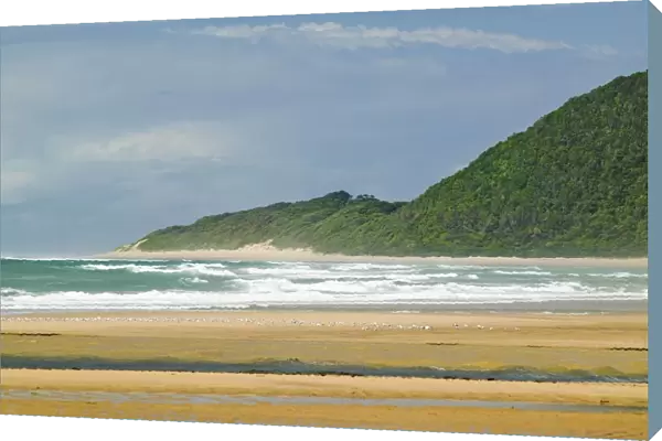Indian Ocean seascape and sandy beach at Greater St. Lucia Wetland Park World Heritage Site, St. Lucia, South Africa