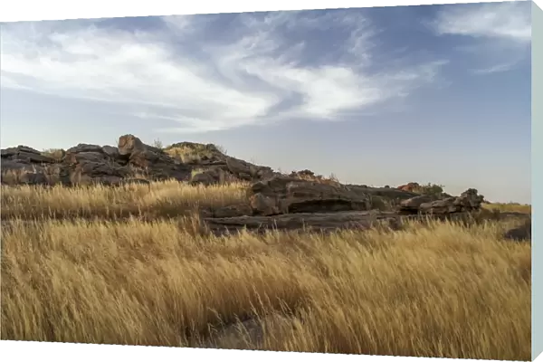 Grassland on top of Bandiagara Escarpment