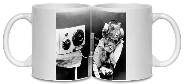 Radio Cat. January 1926: A cat wearing headphones to listen to a radio