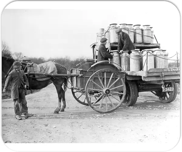 Milk Cart. A horse drawn milk cart
