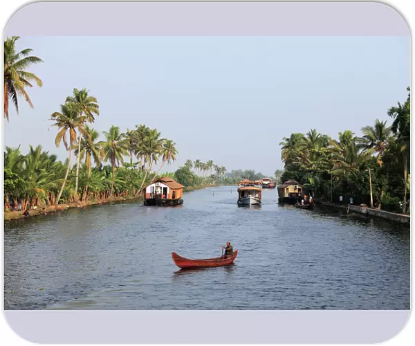 Canal, backwaters of Alleppey, Alappuzha, Kerala, South India, South Asia, Asia