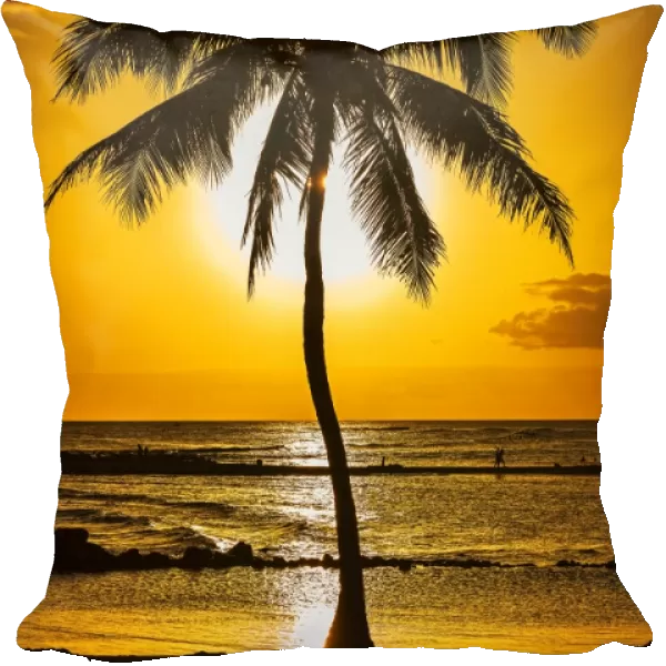 Palm tree at sunset, Kauai, Hawaii, United States