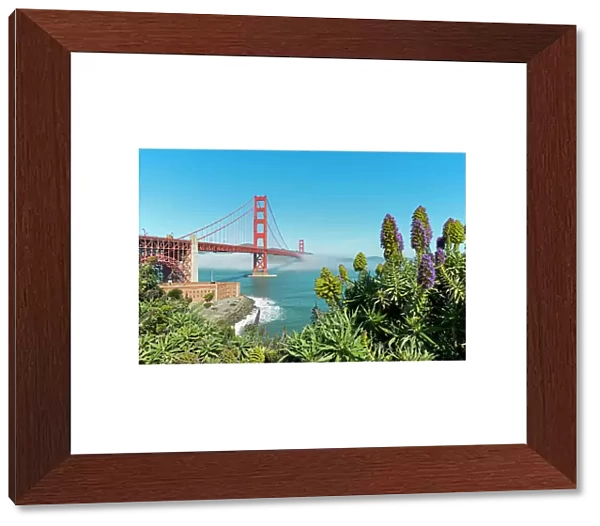 Lush vegetation in front of the Golden Gate Bridge, San Francisco, California