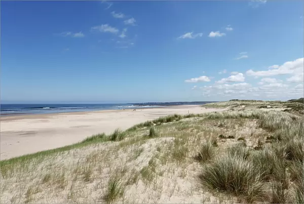 Castlerock Beach, County Derry, Northern Ireland, Great Britain, Europe
