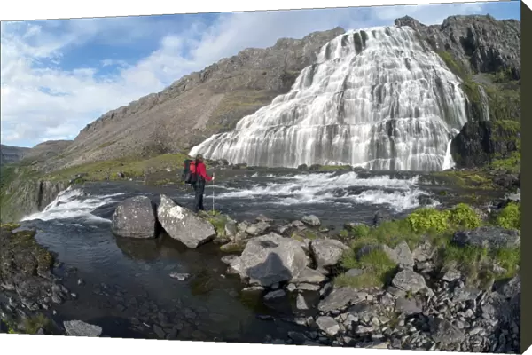 Hiker at Dynjandifoss or Fjallfoss Waterfall, Westfjords, Iceland, Europe