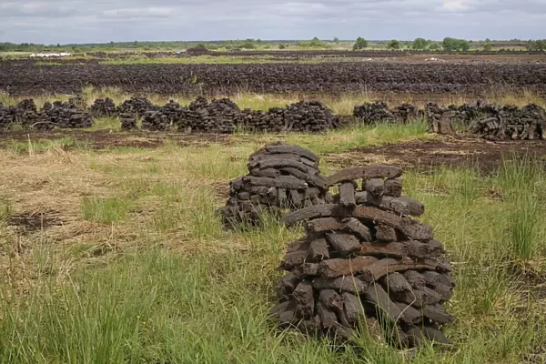 Peat briquettes used for fuel in private homes are dried by the citizens themselves, Birr, Leinster, Republic of Ireland, Europe