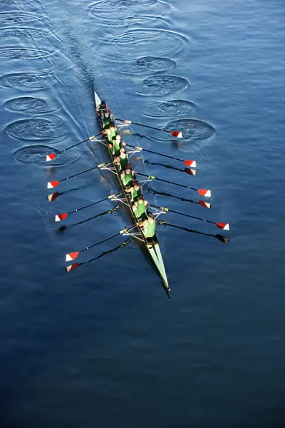 Crew Team Rowing