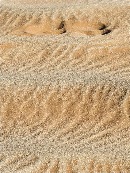 Footprint in the sand. Sossuvlei, Namibia