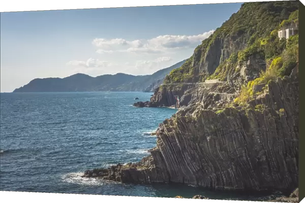 The cliffs in front of the port of Riomaggiore, Liguria. Italy