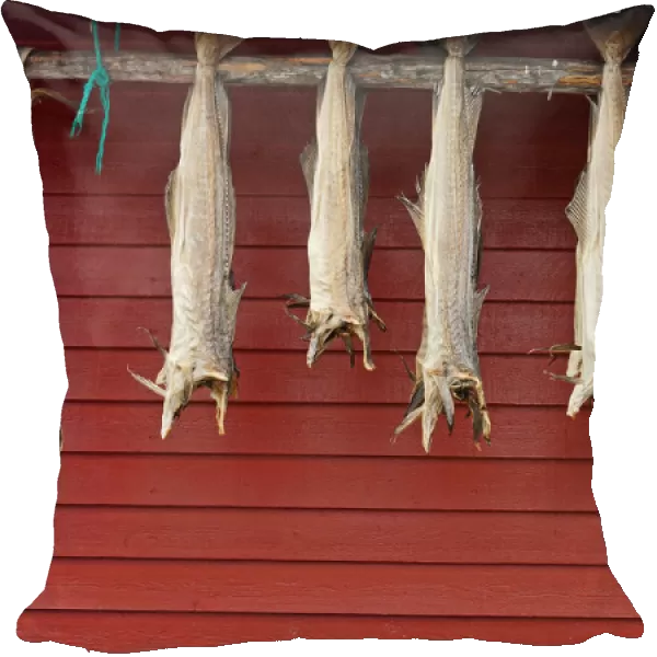 Stockfish is dried fish (mostly cod). The drying of fish is the worlds