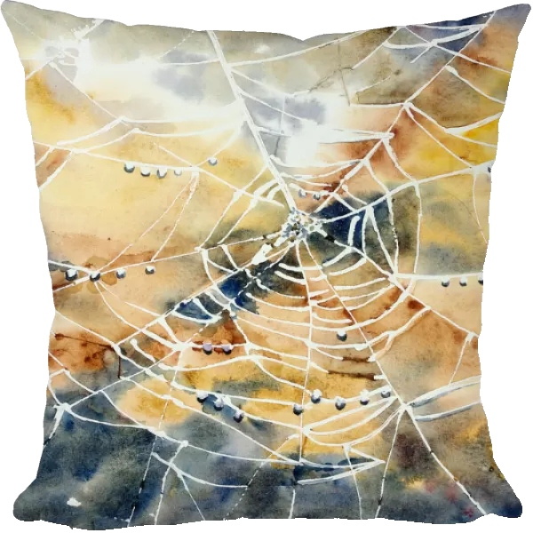 Cobweb spiderweb