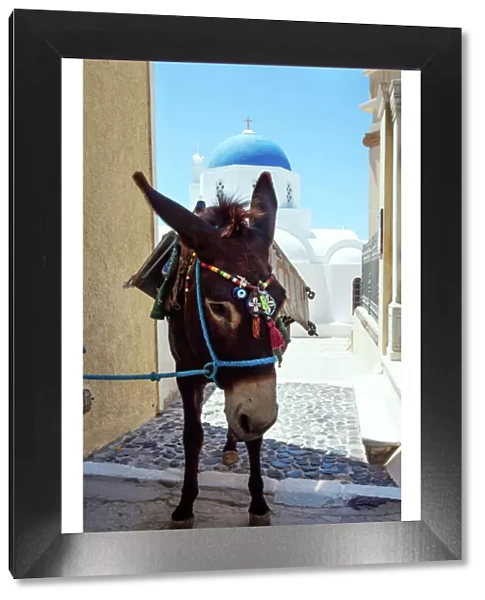 Donkey in front of blue domed church, Santorini