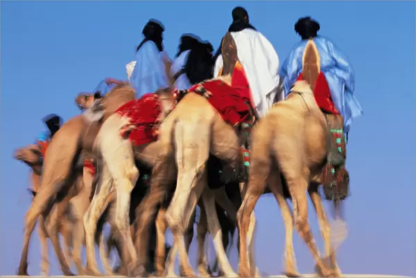 Mali, Timbuktu, Sahara Desert, Tuareg camel riders