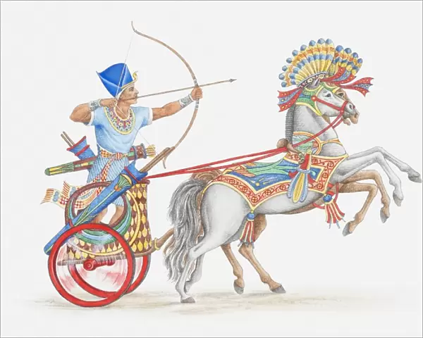 Illustration of ancient Egyptian archer on chariot