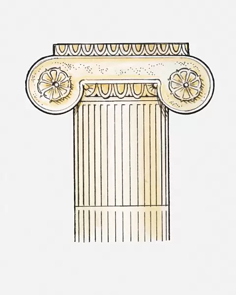 Illustration of Ionic column