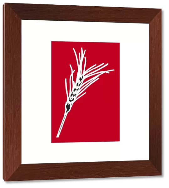 Digital illustration of ear of wheat