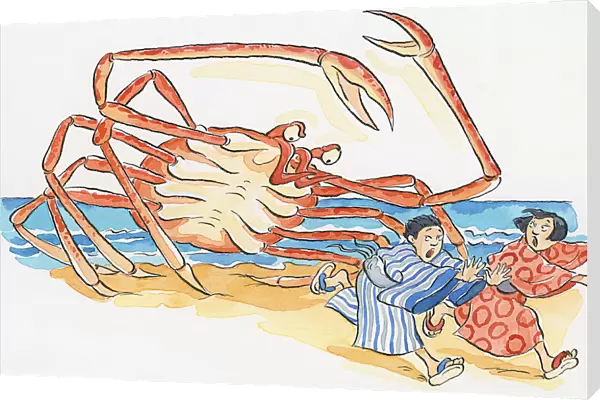 Cartoon of Japanese Spider Crab (Macrocheira kaempferi), chasing man and woman on beach as it rears up behind them