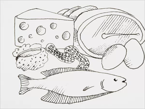 Line drawing of foods that provide protein, including meat and fish