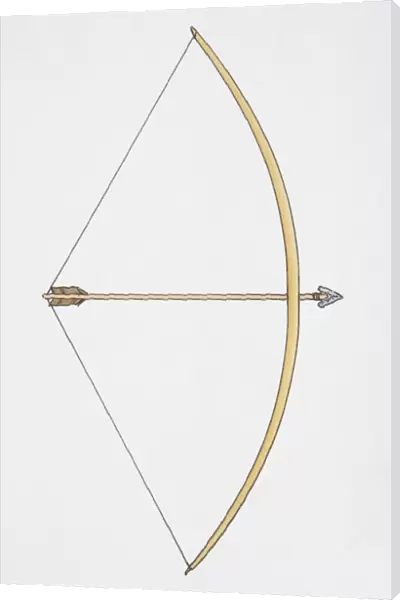 Illustration, bow and arrow in fully-drawn position