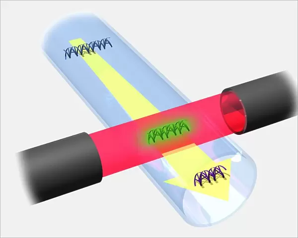 High voltage driving DNA fragments along a capillary tube passing through a photo detector, illustration