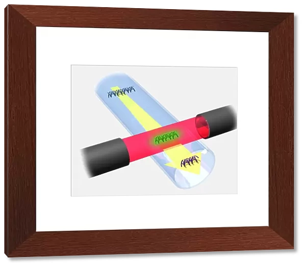High voltage driving DNA fragments along a capillary tube passing through a photo detector, illustration
