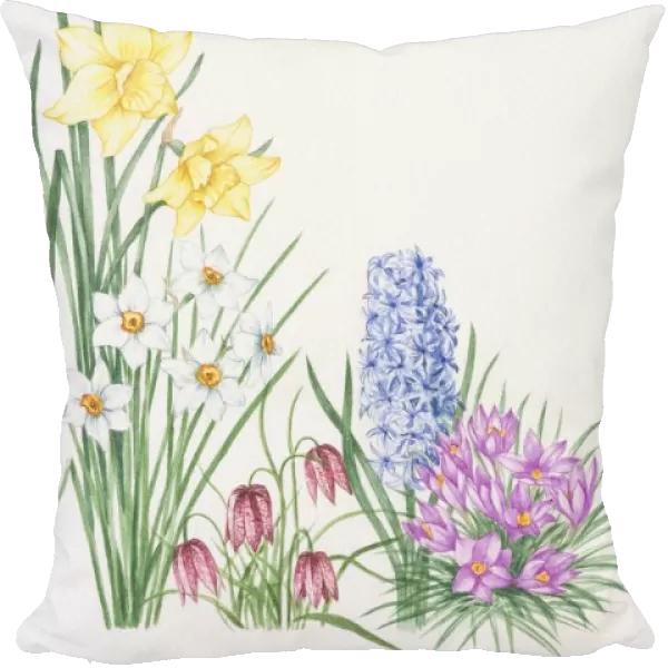 Yellow flowers of Daffodil towering over white flowers of Narcissus, violet, drooping flowerheads of Fritillary, blue flowerheads of Hyacinth and upward-facing purple petals of Cerise Crocus