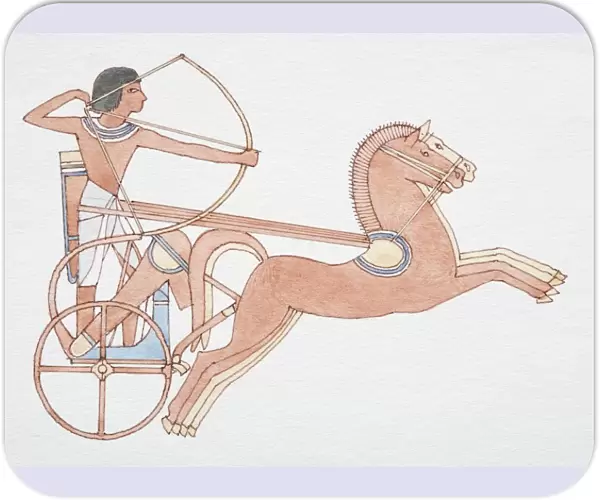 2000 BC Egyptian horse-drawn chariot, side view